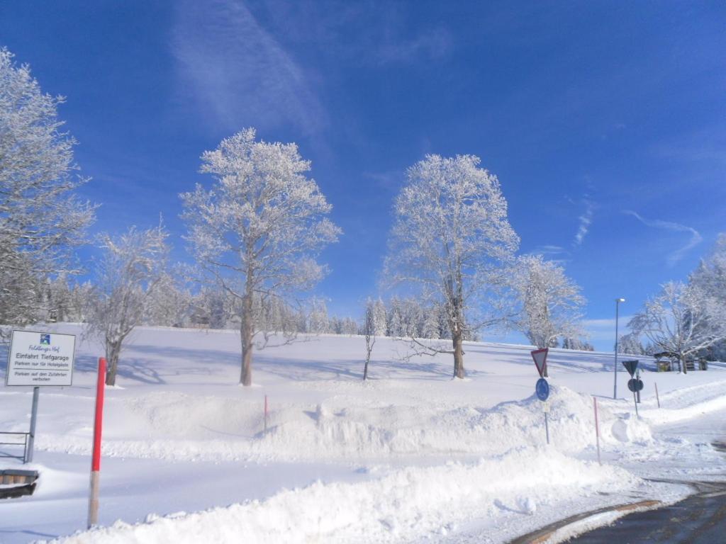 ホテル Landgasthaus Gemsennest フェルトベルク エクステリア 写真