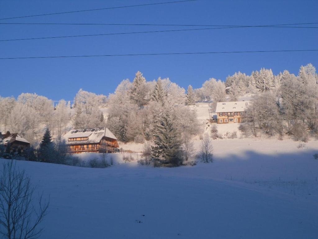 ホテル Landgasthaus Gemsennest フェルトベルク エクステリア 写真