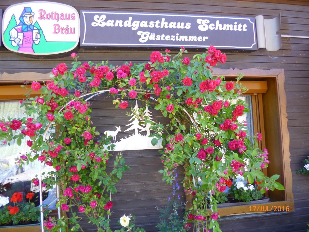 ホテル Landgasthaus Gemsennest フェルトベルク エクステリア 写真